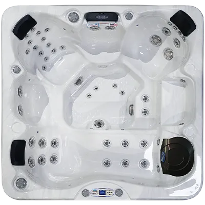 Avalon EC-849L hot tubs for sale in Westwood